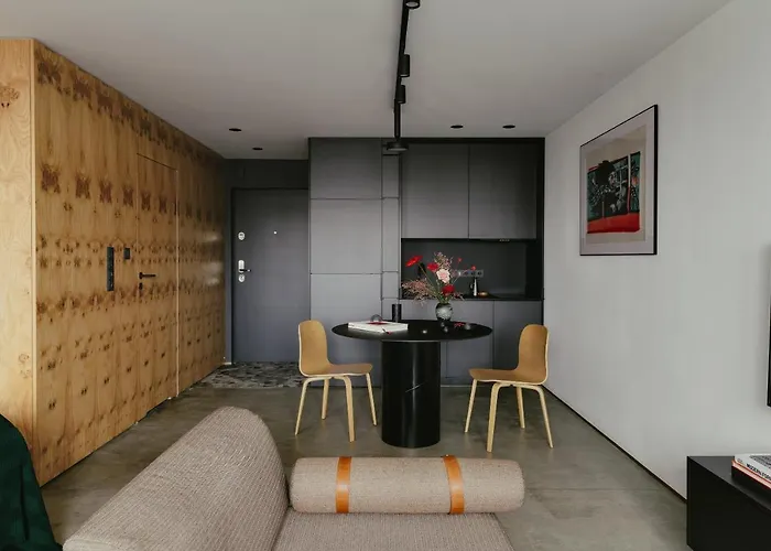 Apartment Strefa Kultury *